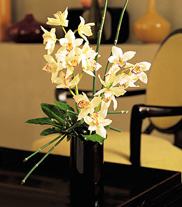  zmir Gzelbahe gvenli kaliteli hzl iek  cam yada mika vazo ierisinde dal orkide