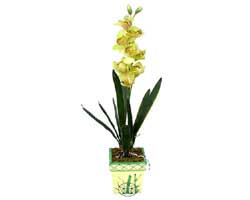zel Yapay Orkide Sari  zmir Konak internetten iek siparii 