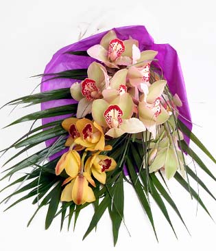  zmir Urla iek gnderme sitemiz gvenlidir  1 adet dal orkide buket halinde sunulmakta