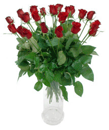  İzmir Konak uluslararası çiçek gönderme  11 adet kimizi gülün ihtisami cam yada mika vazo modeli