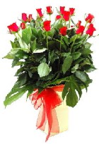 Vazoda 15 adet kırmızı gül  İzmir Konak çiçek yolla , çiçek gönder , çiçekçi  