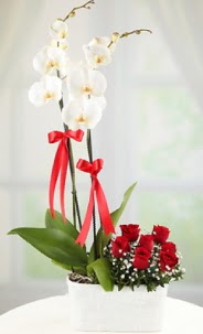 2 dall beyaz orkide ve 7 krmz gl  zmir Konak iek online iek siparii 