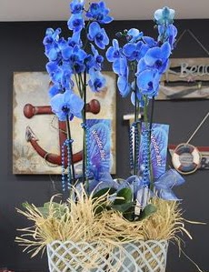4 dall zel mavi orkide  zmir Torbal online ieki , iek siparii 