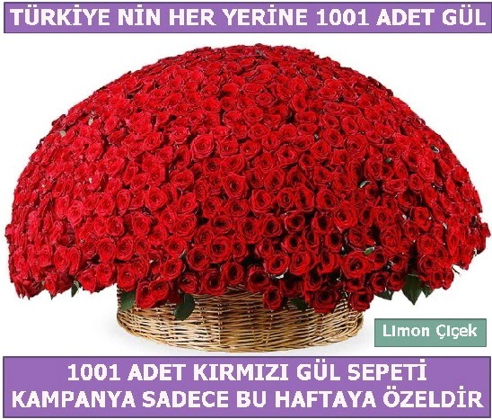 1001 Adet kırmızı gül Bu haftaya özel  İzmir Konak çiçek siparişi vermek 