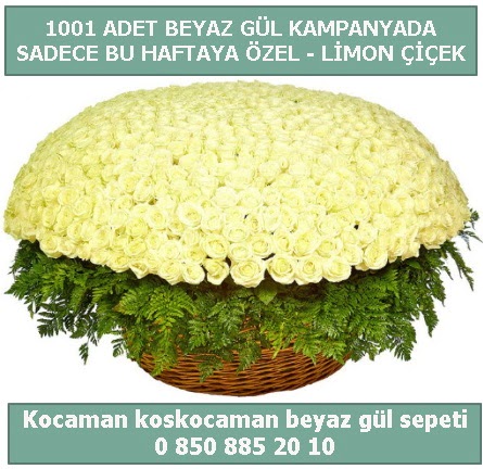 1001 adet beyaz gül sepeti özel kampanyada  İzmir Konak online çiçek gönderme sipariş 