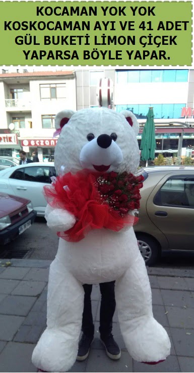 Koskocaman beyaz ayı ve 25 adet gül  İzmir Konak çiçek mağazası , çiçekçi adresleri 