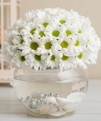 Fanusta beyaz Papatya  İzmir Konak 14 şubat sevgililer günü çiçek 