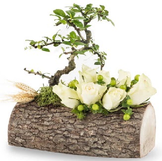 Doal ktkte bonsai aac ve 7 beyaz gl  zmir Karyaka online iek gnderme sipari 