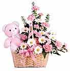  İzmir Konak online çiçekçi , çiçek siparişi  oyuncak bir pelus ve sepet