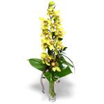  İzmir Konak çiçek siparişi vermek  cam vazo içerisinde tek dal canli orkide