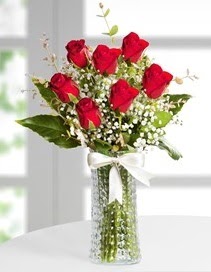 Cam vazoda 7 adet kırmızı gül  İzmir Konak anneler günü çiçek yolla 