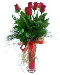 vazo içerisinde 5 kırmızı gül  İzmir Konak çiçek siparişi sitesi 