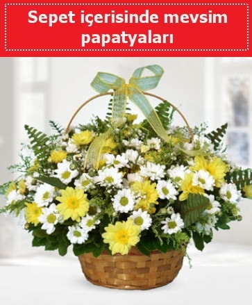 Sepet içerisinde mevsim papatyaları  İzmir Konak hediye sevgilime hediye çiçek 