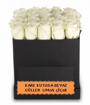 Kare kutuda 17 adet beyaz gül tanzimi  İzmir Konak çiçek mağazası , çiçekçi adresleri 